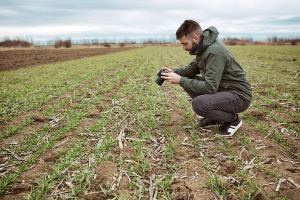 istock Young attractive man with beard working makes a photo of a wheat 1204165707
