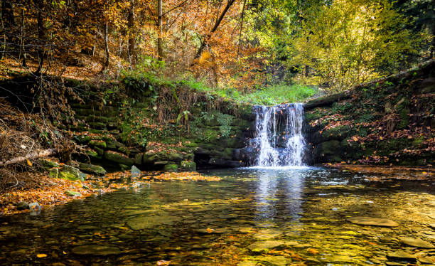 istock Beautiful waterfall at the mountain in autumn landscape 1204165735