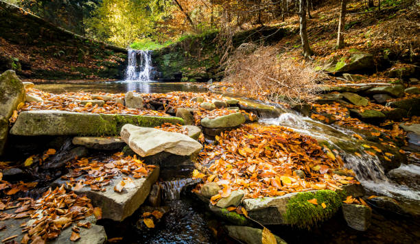 istock Beautiful waterfall at the mountain in autumn landscape 1204165781