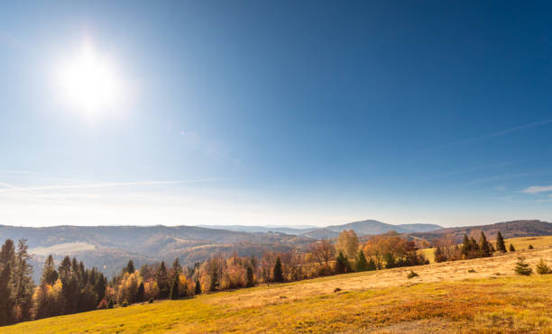Colorful autumn carpatian mountains landscape