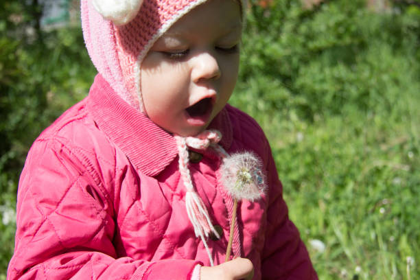 istock Child with open mouth before blowing on dandelion in summer park 1204166945
