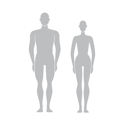 Vector dummy silhouette. Mannequin male and female. Figures of man and woman. Human Body. People front side. Vector isolated editable template for measurements, fashion, fitness, medical Illustration.