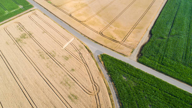 istock Abstract agricultural fields - aerial view 1204172210