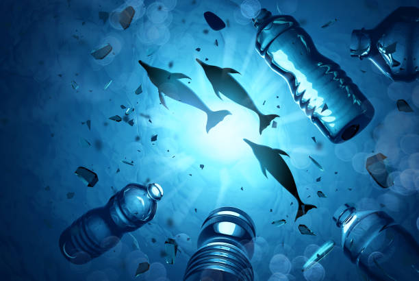 Dolphins Swimming In A Ocean Polluted With Plastics Dolphins swimming in an ocean filled with microplastics and plastic waste. Ocean water pollution concept. 3D illustration. cetacea stock pictures, royalty-free photos & images