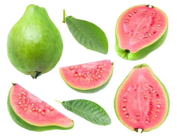 Isolated guava. Collection of green pink fleshed guava fruit pieces and leaves isolated on white background with clipping path