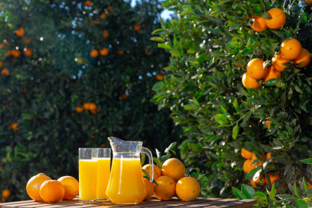 istock Orange juice with fresh fruits 1204183457