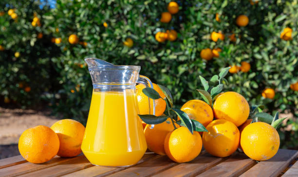 istock Orange juice with ripe oranges in orchard 1204183611