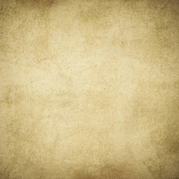 istock Vintage paper texture. High resolution grunge background. 1204183823