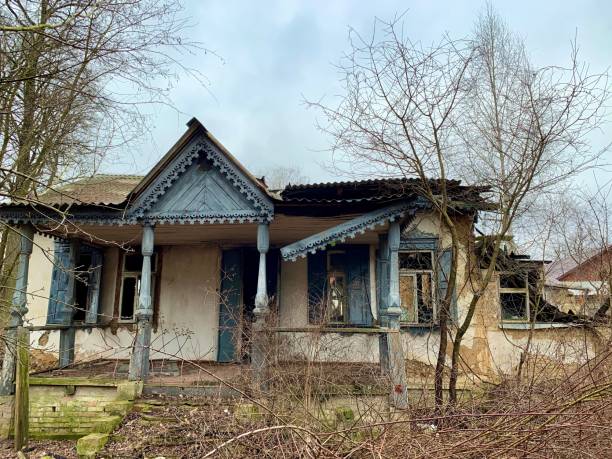 abandoned house on an empty plot. ruined building among trees and shrubs. old, abandoned house in the park against the sky. - forest hut window autumn imagens e fotografias de stock