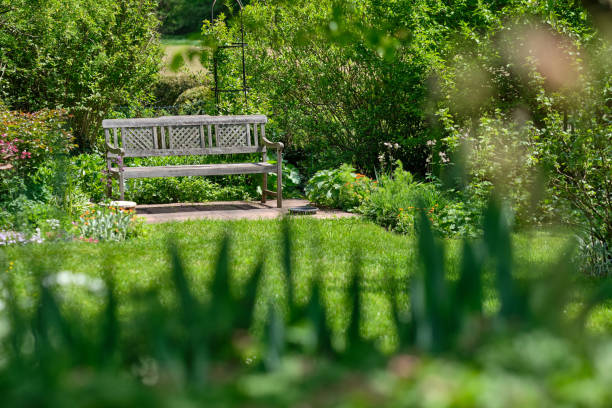 istock Beautiful green springtime garden with bench in Germany 1204185487