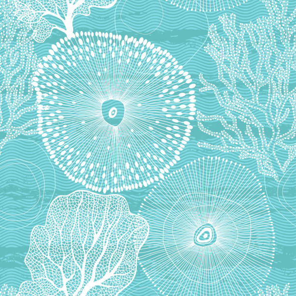 ilustrações de stock, clip art, desenhos animados e ícones de sea. abstract seamless pattern on the marine theme. vector. - algae