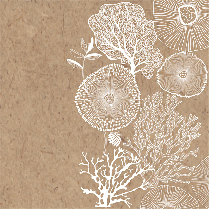 Vector illustration on a marine theme on kraft paper. Abstract sea background with seaweed, shells, corals and place for text.