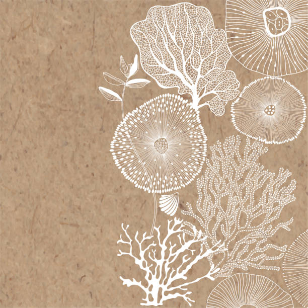 Abstract background on a marine theme with place for text on kraft paper. Vector. Perfect for greeting cards and invitations. Vector illustration on a marine theme on kraft paper. Abstract sea background with seaweed, shells, corals and place for text. coral stock illustrations