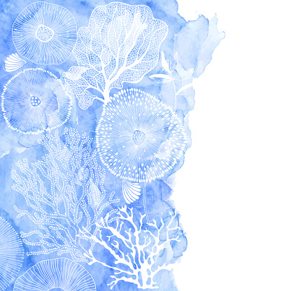 Vector illustration on a marine theme with a blue watercolor element. Abstract sea background with seaweed, shells, corals and place for text.