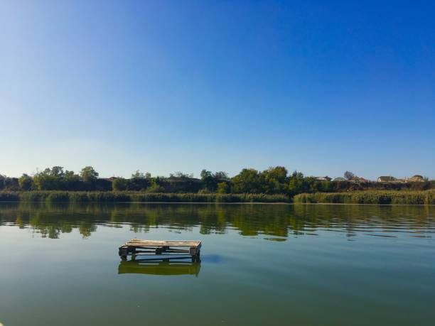 istock Pallet on the lake 1204187173