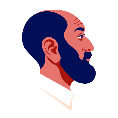 The Head Of A Bald Man With A Dark Beard In Profile Arab Businessman Face  In Profile Avatar For Social Networks Stock Illustration - Download Image  Now - iStock