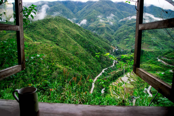 Coffee on window sill with a view of the rice terrace