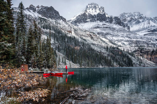 Man traveler standing on wooden pier with rocky mountains in Lake O'hara at Yoho national park Man traveler standing on wooden pier with rocky mountains in Lake O'hara at Yoho national park, Canada yoho national park photos stock pictures, royalty-free photos & images