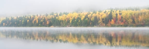 istock A lake in the forest in Canada 1204189285