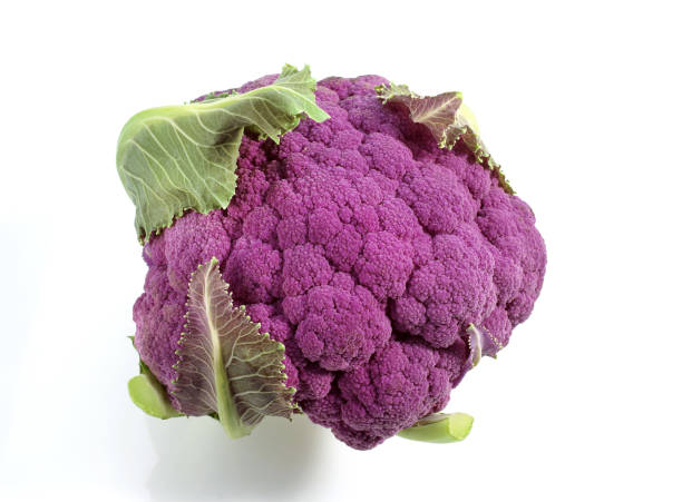 expédition 1-2 - purple cauliflower photos et images de collection