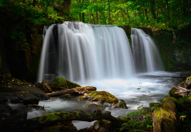 istock Choshi otaki waterfall, Oirase stream, Aomori, Japan. 1204189884