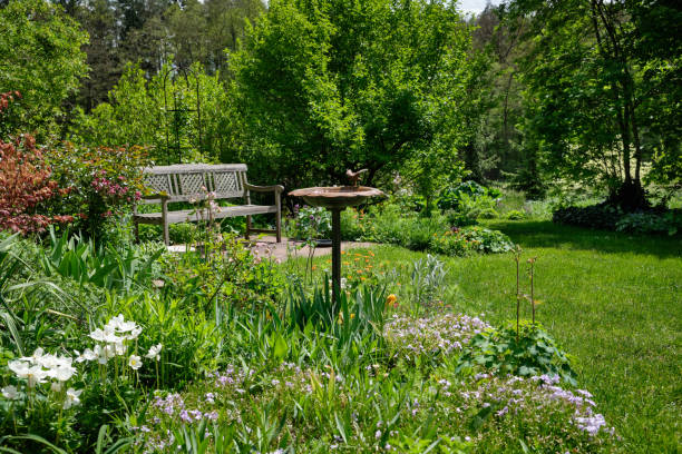 bellissimo giardino verde primaverile in fiore con barth e panca per uccelli - birdbath foto e immagini stock