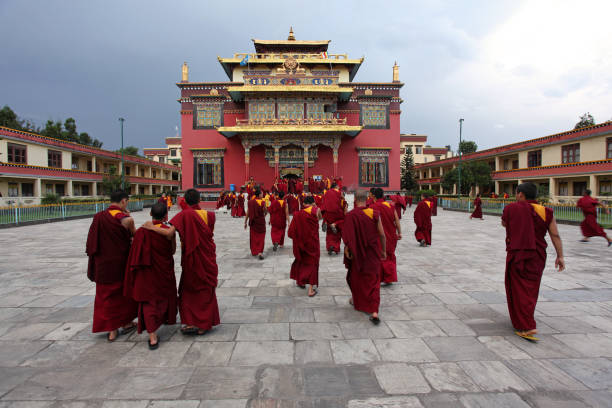 shechen tennyi dargyeling mosteiro, boudhanath, nepal - cham mask - fotografias e filmes do acervo