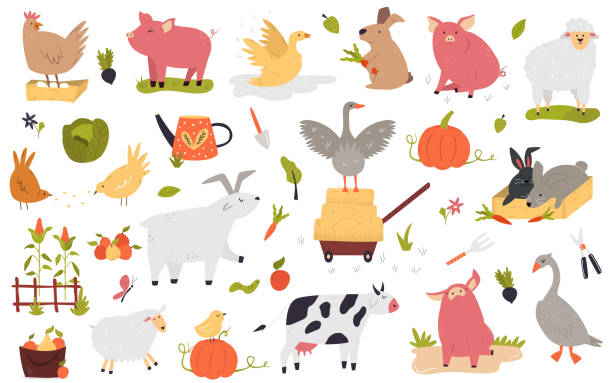 illustrazioni stock, clip art, cartoni animati e icone di tendenza di grande set di animali da fattoria divertenti mucca, maialino, coniglio, la salamoiera, oca, pecora di capra - poultry animal curiosity chicken