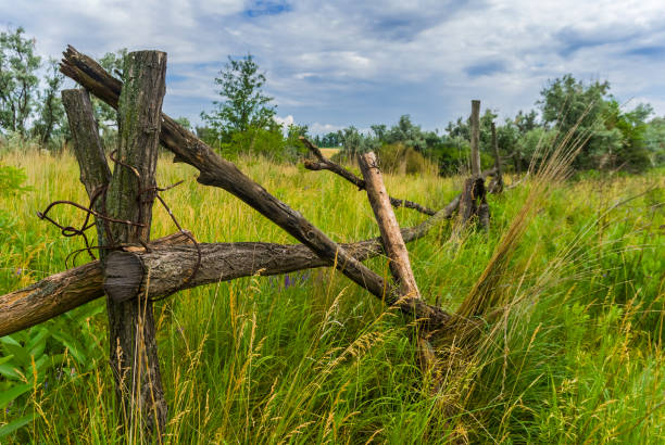 istock wooden fence among a green fields 1204193879
