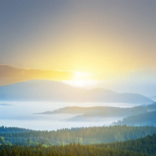 istock mountain valley at the early morning 1204193929