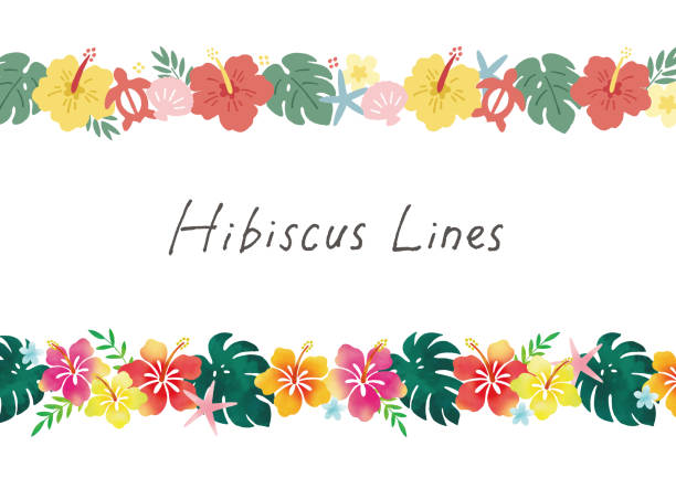 Hibiscus lines Hibiscus lines hula dancing stock illustrations