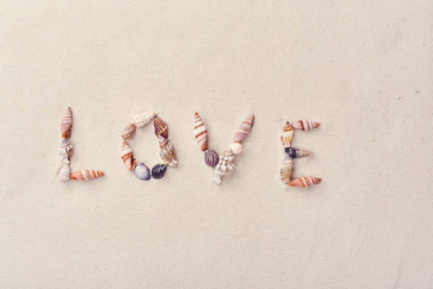 istock Inscription love made of seashells 1204196512