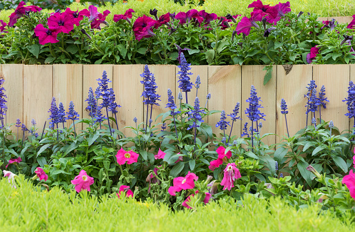 Wooden fence in flower garden