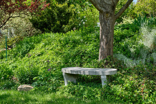 istock Stone bench under tree in beautiful green springtime garden 1204196919