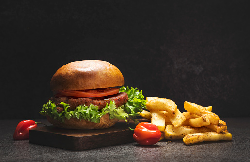 Burger with french fries on dark background
