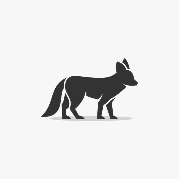 vektor illustration fox eleganter silhouettenstil. - säugetier stock-grafiken, -clipart, -cartoons und -symbole