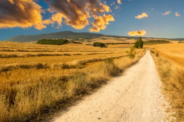 Photo of The road to Santiago as it passes through Navarra