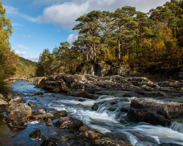 istock River Affric flowing through the glen in autumn 1204207108