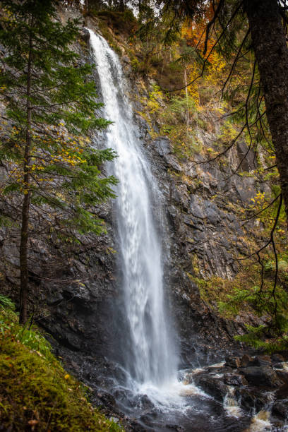 istock Plodda Falls Glen Affric, Scotland 1204208629