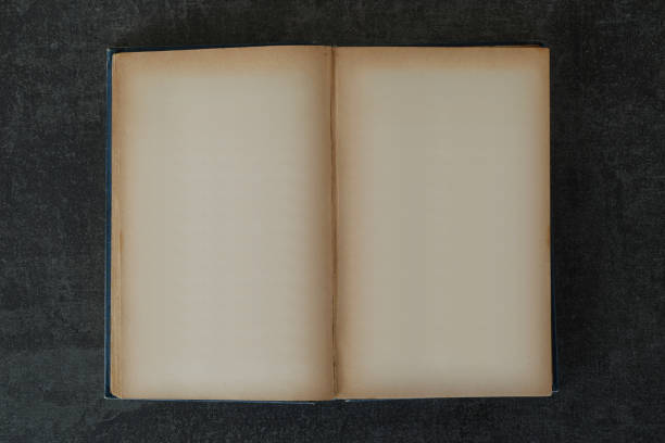istock antique hardcover book with blank pages 1204215277