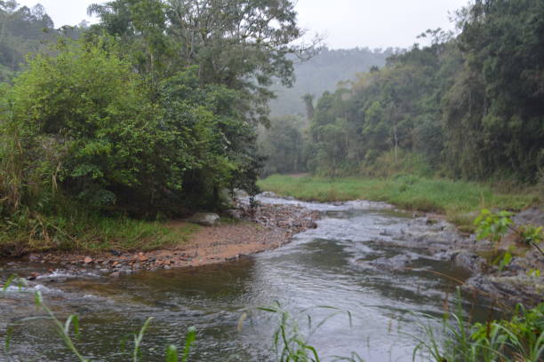 istock Rural Landscape with River, tree and montain 1204221777