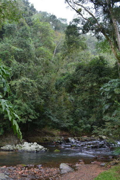 istock Rural Landscape with River, tree and montain 1204221793