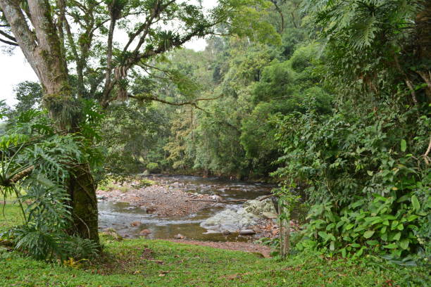 istock Rural Landscape with River, tree and montain 1204221902