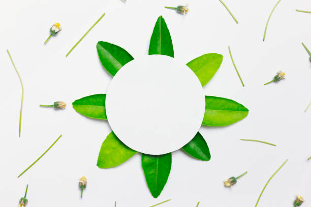 paper circle with green leaf and small flower