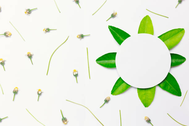 istock paper circle with green leaf on right and small flower 1204223730