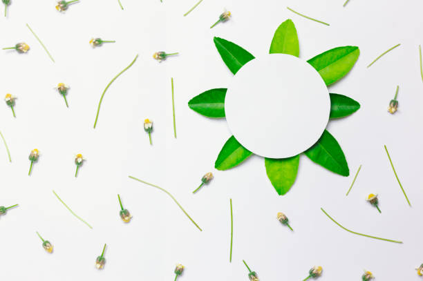 istock paper circle with green leaf on top right and small flower 1204223741