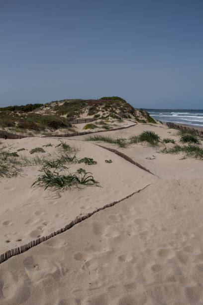 istock Sand dunes on the coast, Sardinia, Italy 1204223754