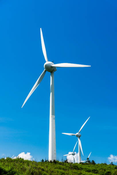 istock Wind power plant, energy systems, renewable energy 1204223785