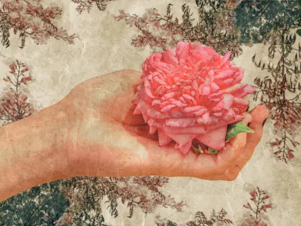 Woman hand holding a rose over botanical motif background vintage photo collage pop art style illustration