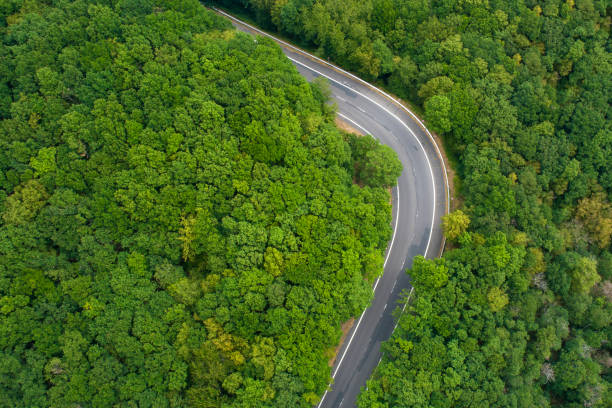 istock Road curve through forest - aerial view 1204224815